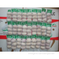 /msite/products/detail/productid/57040575/id/573198.html